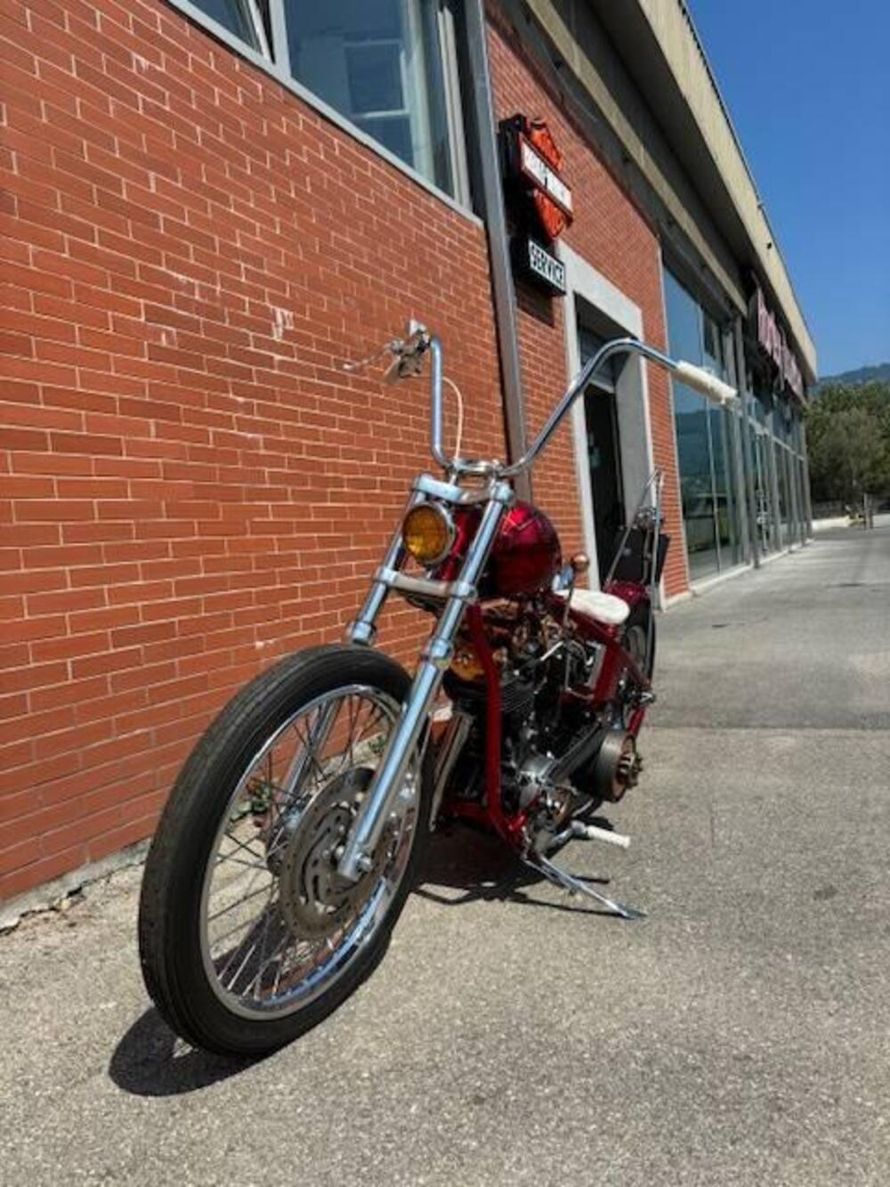 Harley-Davidson SHOVEL (3)