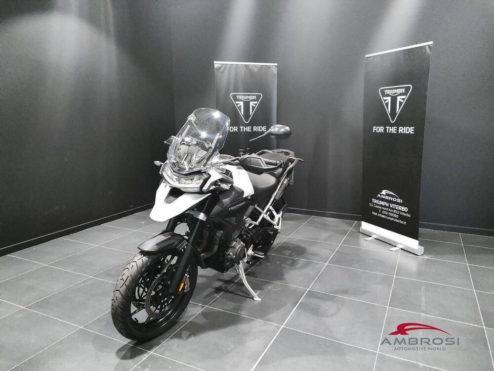 Triumph Tiger 1200 GT Pro (2024 - 25)