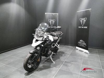 Triumph Tiger 1200 GT Pro (2024 - 25) usata