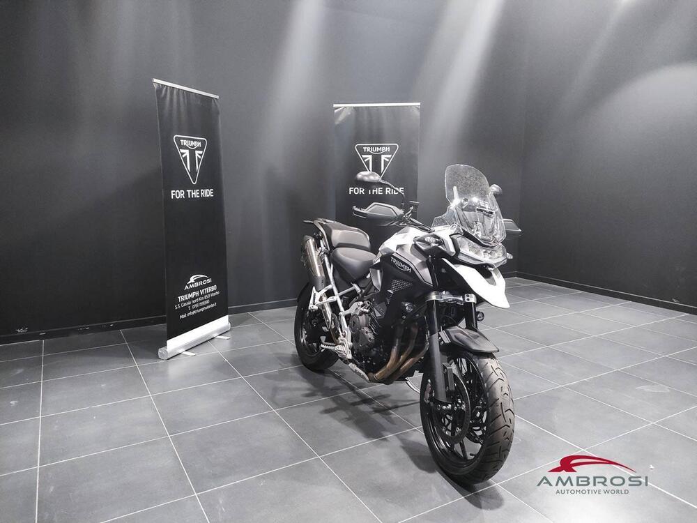 Triumph Tiger 1200 GT Pro (2024 - 25) (2)