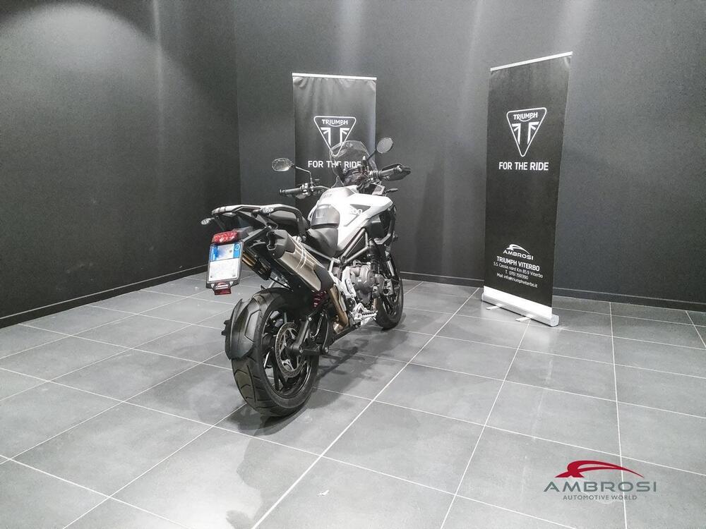 Triumph Tiger 1200 GT Pro (2024 - 25) (3)