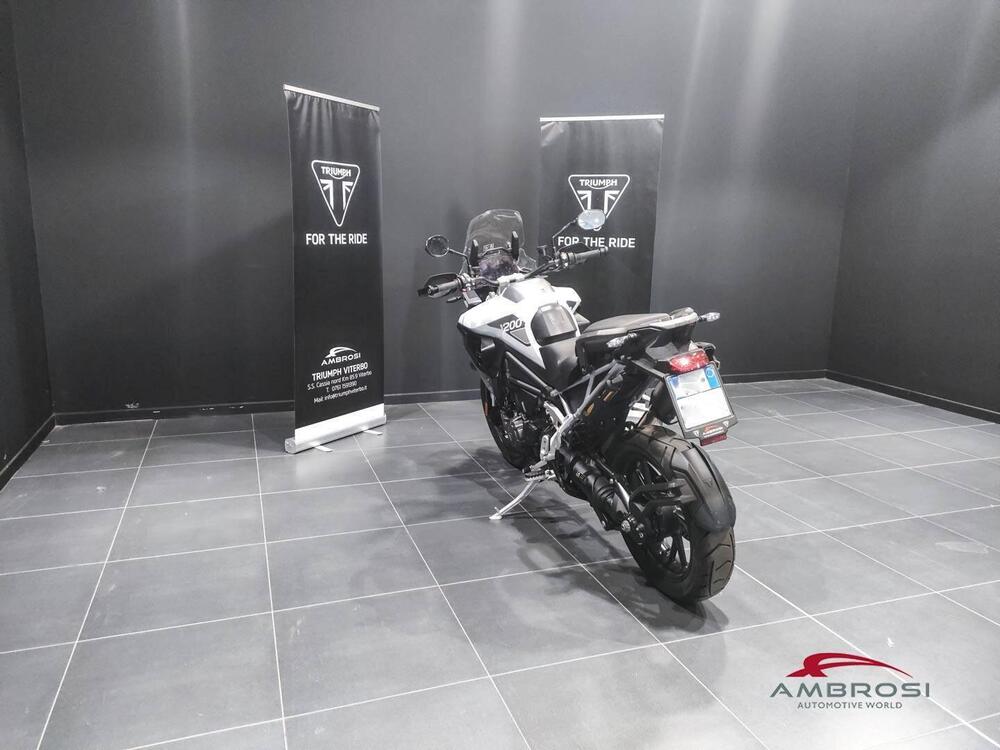 Triumph Tiger 1200 GT Pro (2024 - 25) (4)