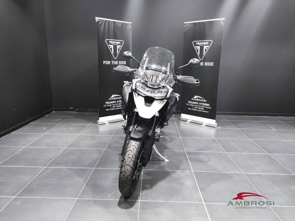 Triumph Tiger 1200 GT Pro (2024 - 25) (5)
