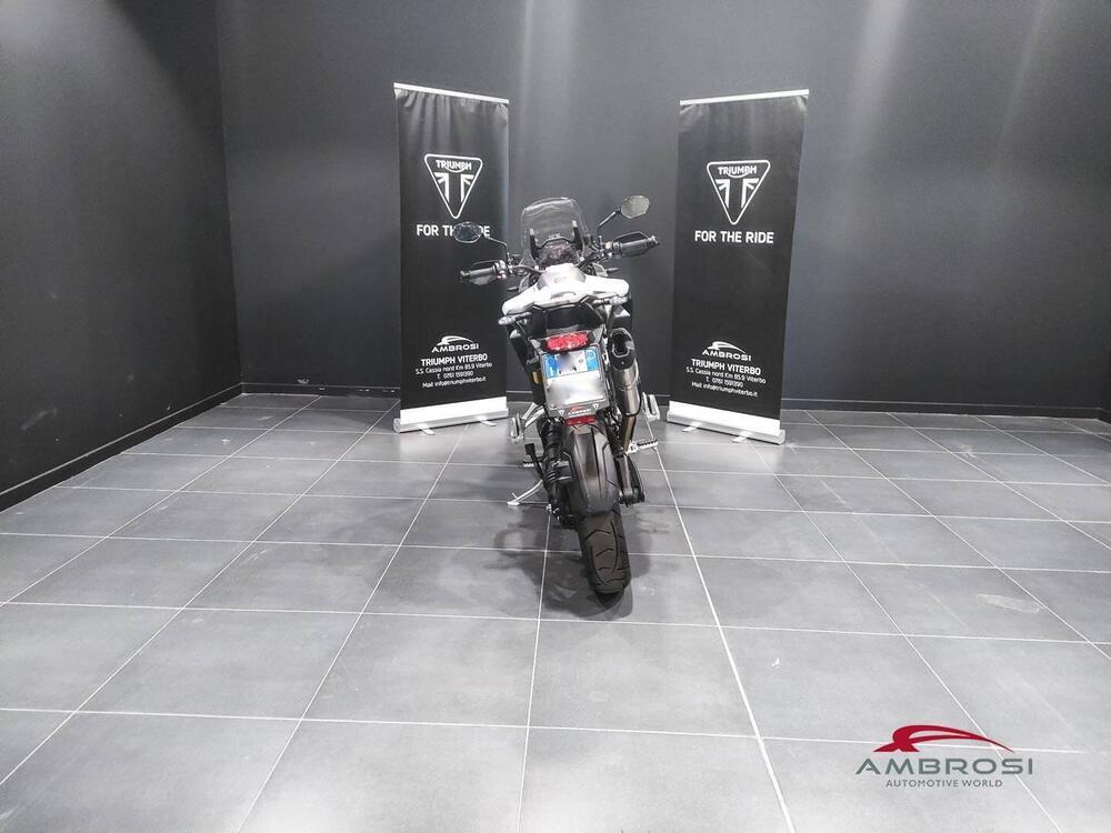 Triumph Tiger 1200 GT Pro (2024 - 25) (6)