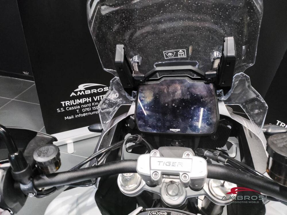Triumph Tiger 1200 GT Pro (2024 - 25) (7)