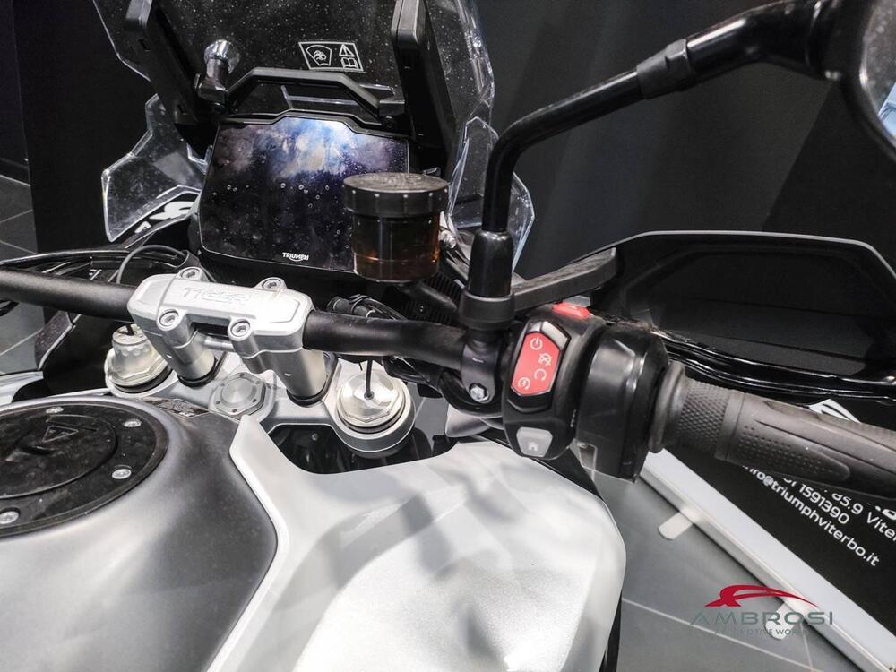 Triumph Tiger 1200 GT Pro (2024 - 25) (8)