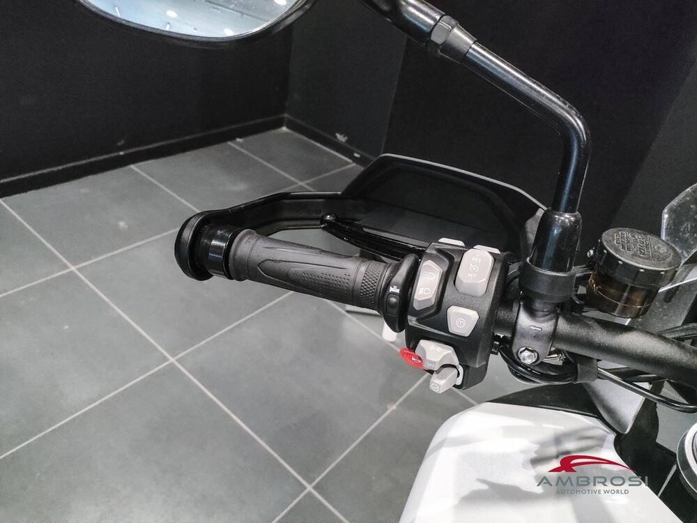 Triumph Tiger 1200 GT Pro (2024 - 25) (9)