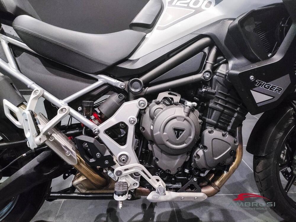Triumph Tiger 1200 GT Pro (2024 - 25) (10)