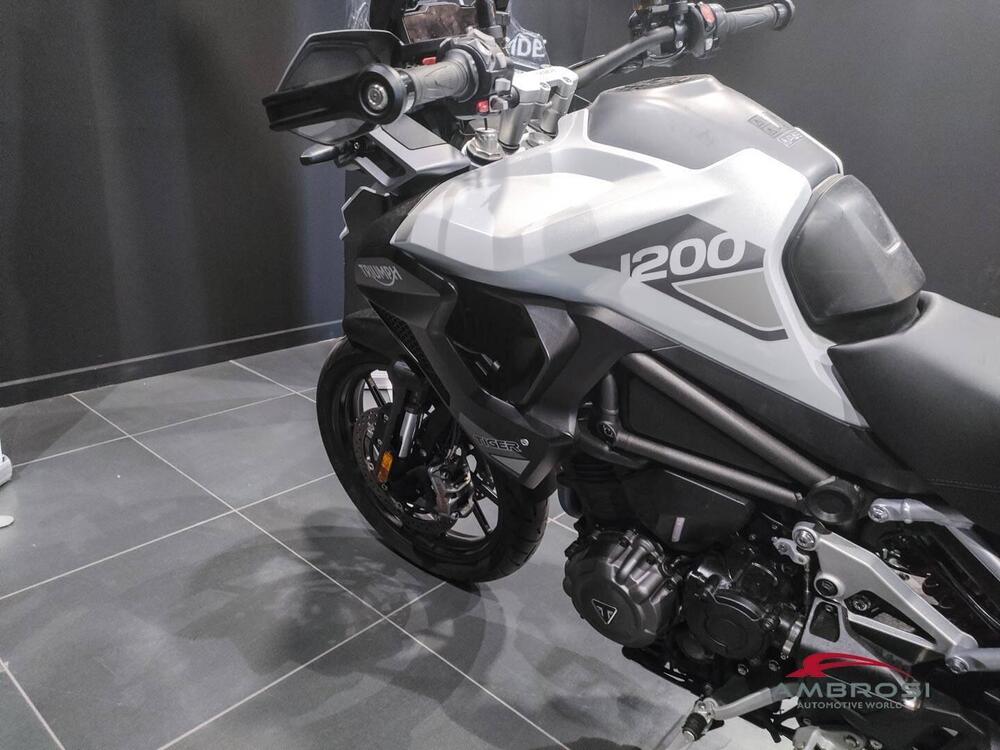 Triumph Tiger 1200 GT Pro (2024 - 25) (11)