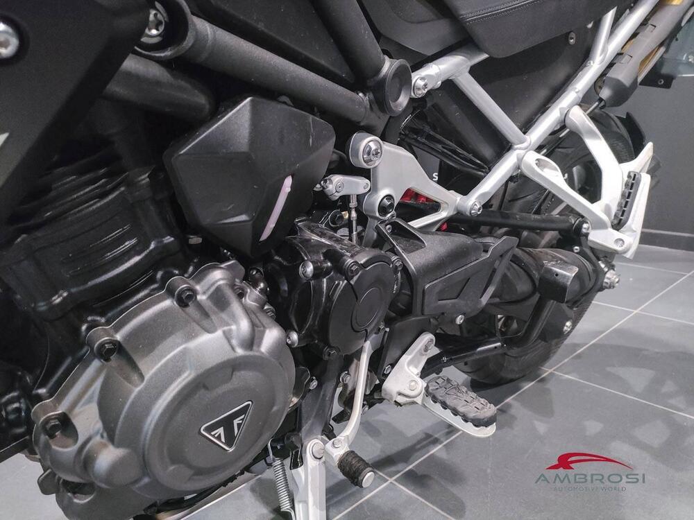 Triumph Tiger 1200 GT Pro (2024 - 25) (13)