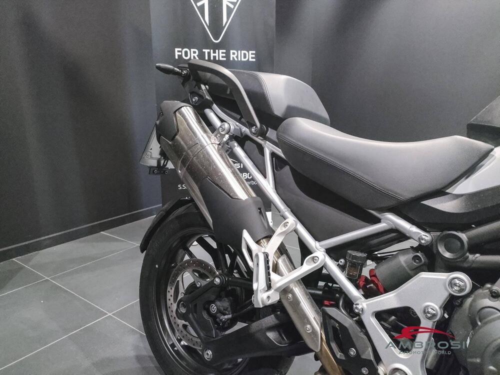Triumph Tiger 1200 GT Pro (2024 - 25) (14)