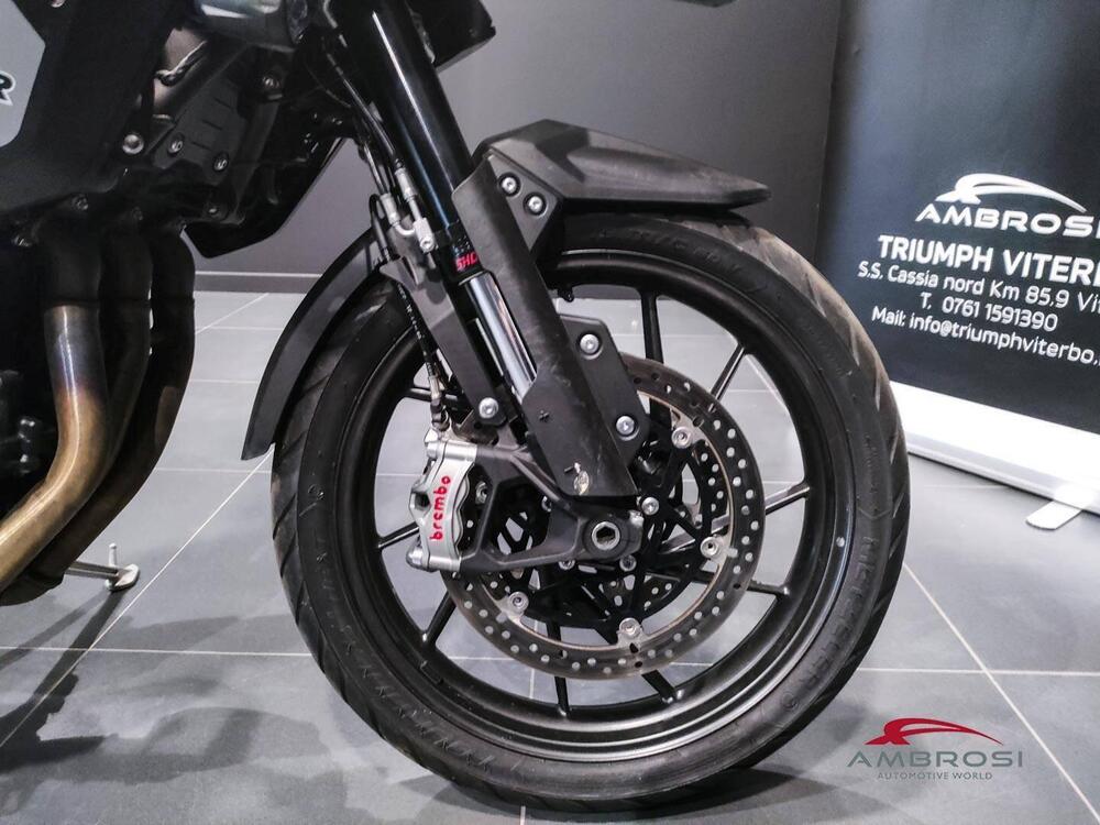 Triumph Tiger 1200 GT Pro (2024 - 25) (15)