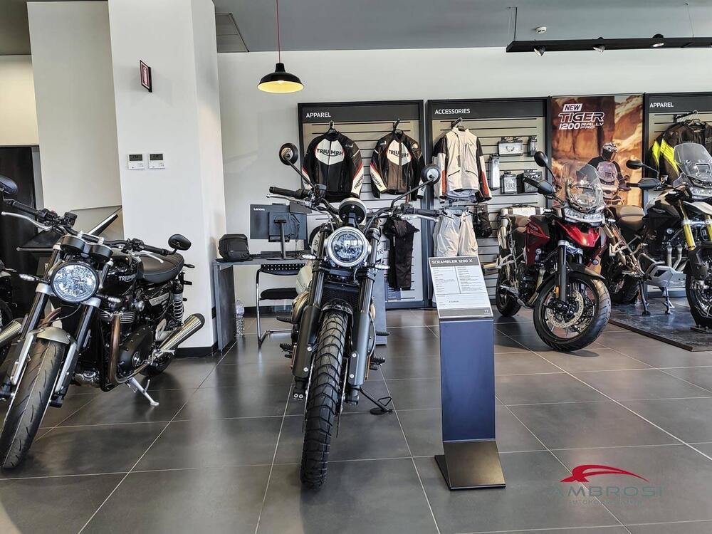 Triumph Scrambler 1200 X (2024 - 25) (3)