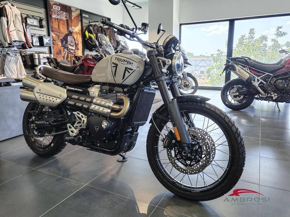 Triumph Scrambler 1200 X (2024 - 25) (5)