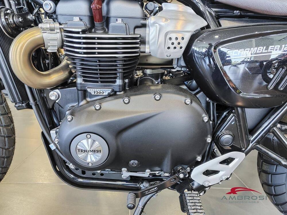 Triumph Scrambler 1200 X (2024 - 25) (9)