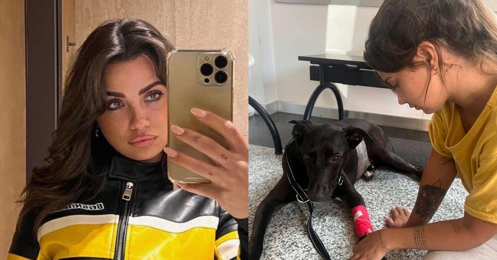 Attaccata da Selvaggia Lucarelli (e non solo) per la raccolta fondi per il cane, l&#039;influencer Eleonora Rocchini parla in esclusiva: &ldquo;Quei 6 mila euro...&rdquo;