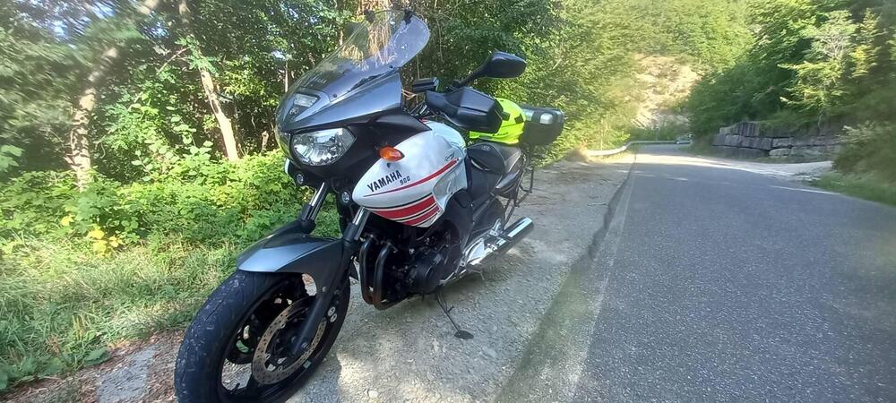 Yamaha TDM 900 (2002 - 14) (11)