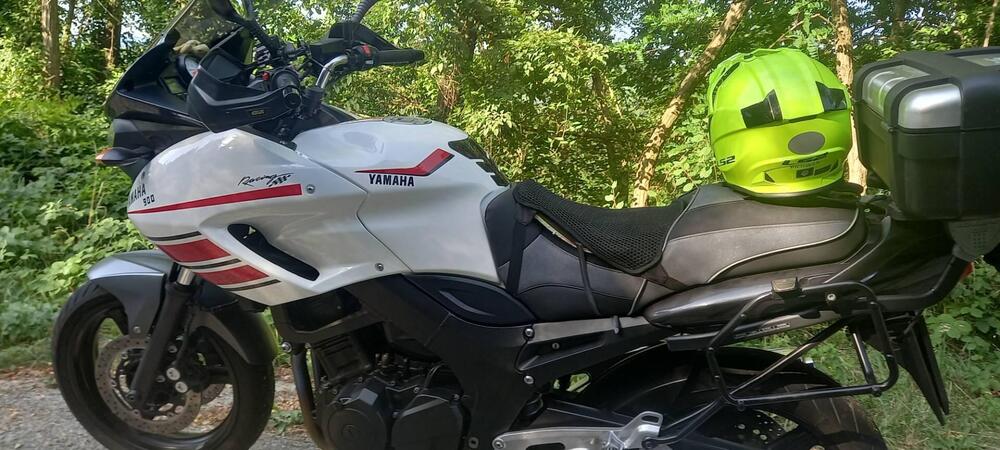 Yamaha TDM 900 (2002 - 14) (12)