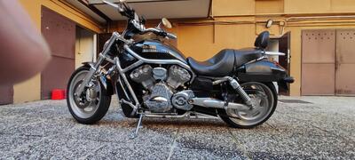 Harley-Davidson 1250 V-Rod (2008 - 12) - VRSCAW usata