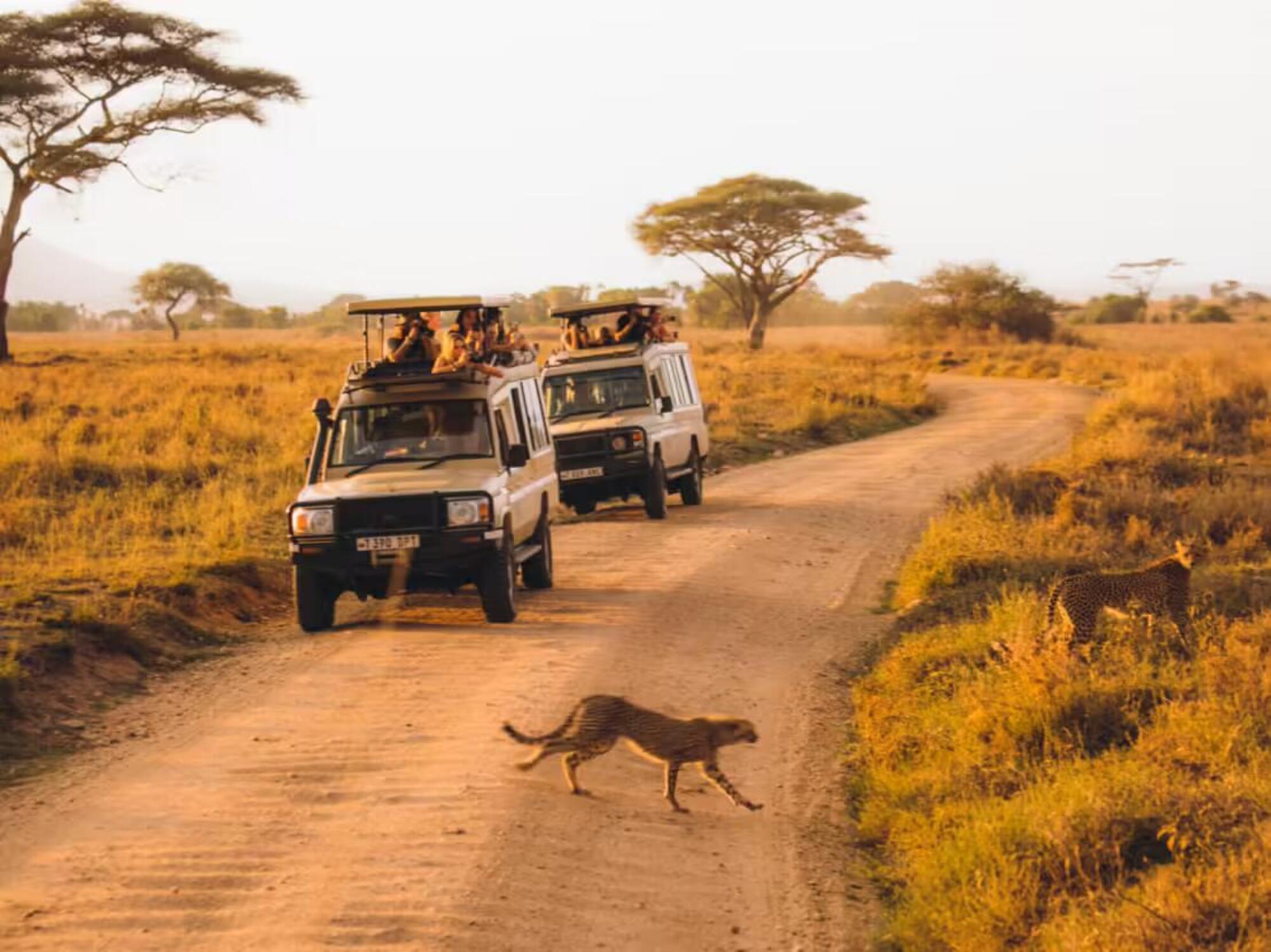 La Tanzania, prima tappa del viaggio 