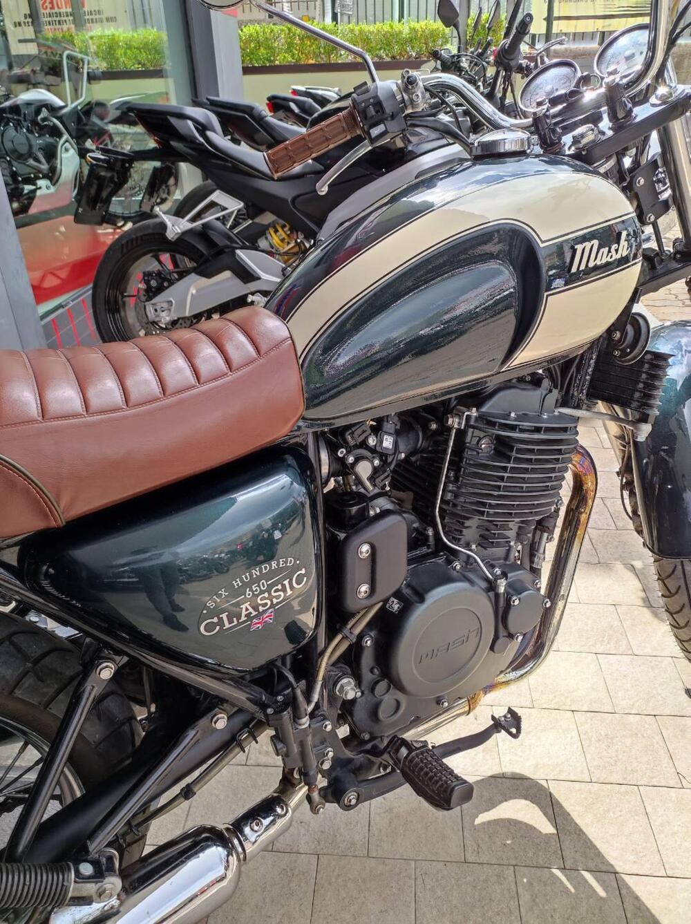 Mash Italia Six Hundred 650 (2021 - 25) (5)