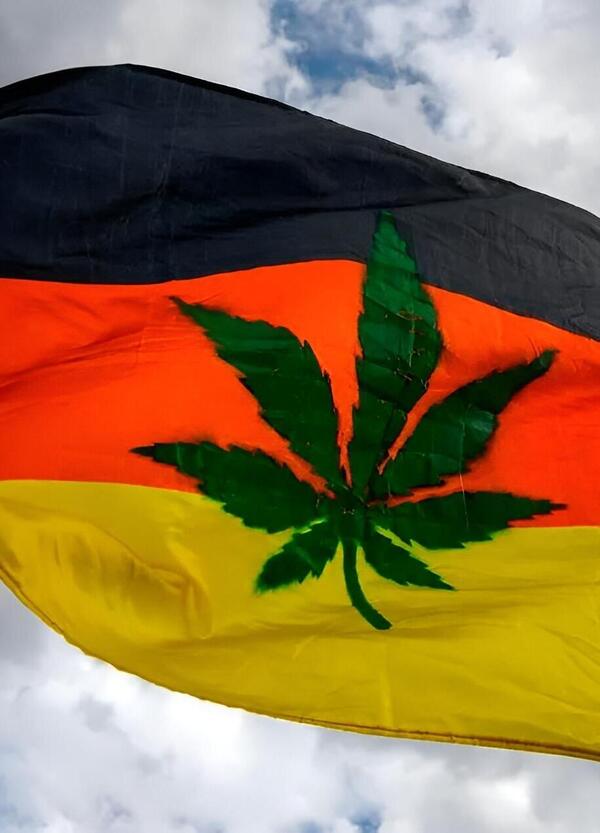 Ma &egrave; vero che si potr&agrave; guidare dopo aver fumato una canna? In auto sotto effetto di marijuana: altro che liberalizzazione delle droghe leggere, in Germania...