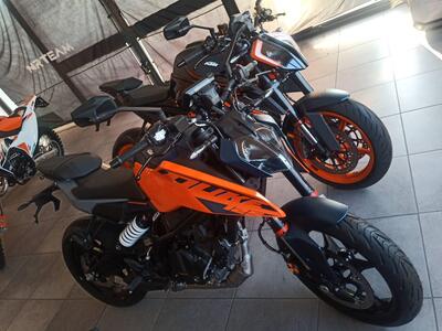 KTM 125 Duke (2024 - 26) nuova