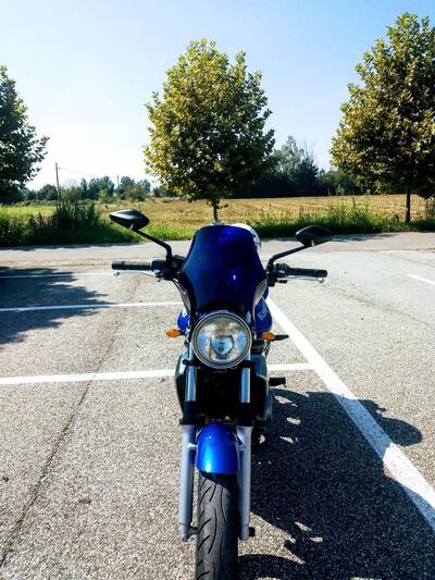 Kawasaki ER-5 500 (2001 - 06) usata