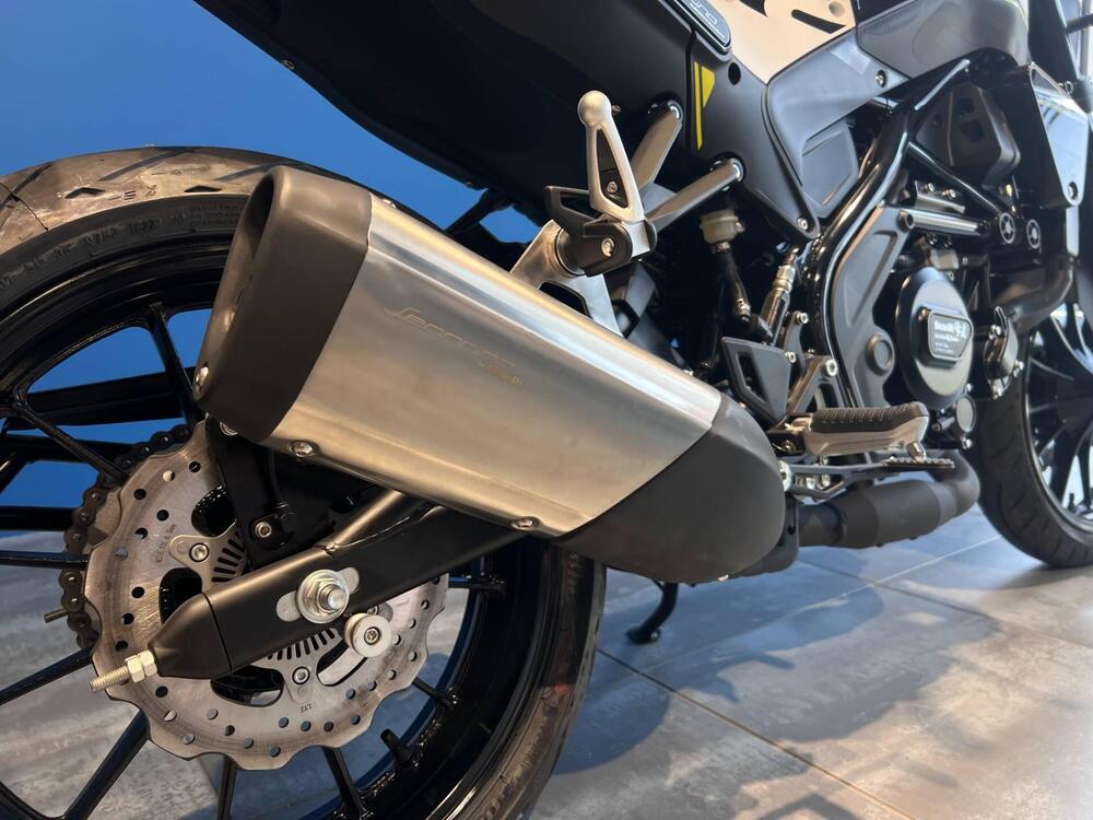 Benelli Leoncino 250 (2021 - 25) (7)