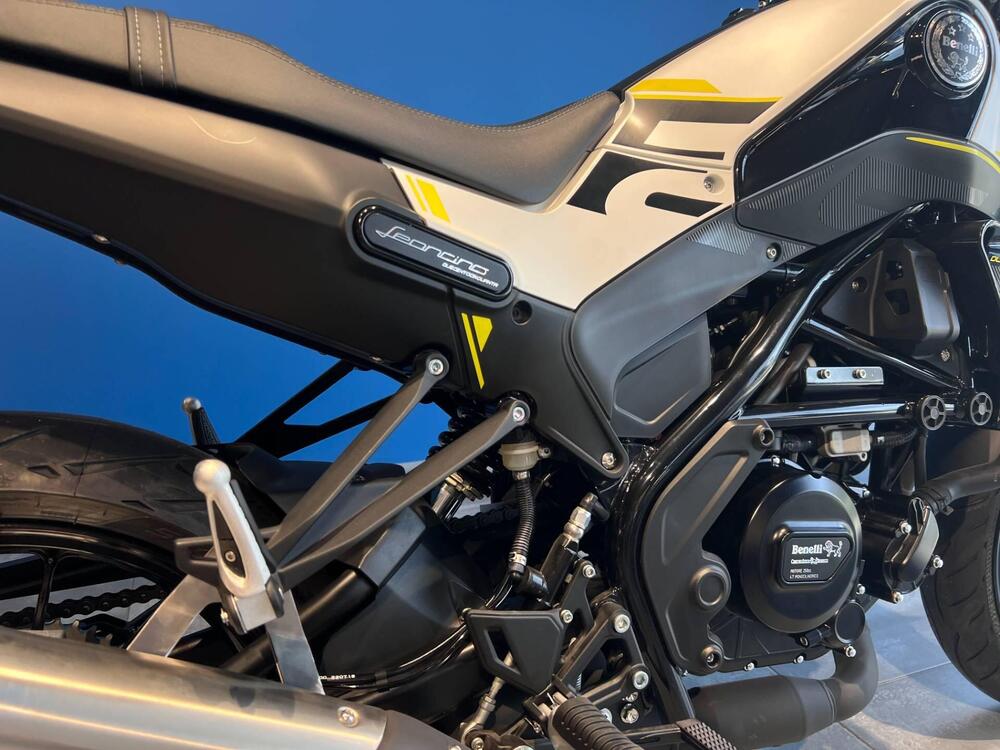 Benelli Leoncino 250 (2021 - 25) (4)