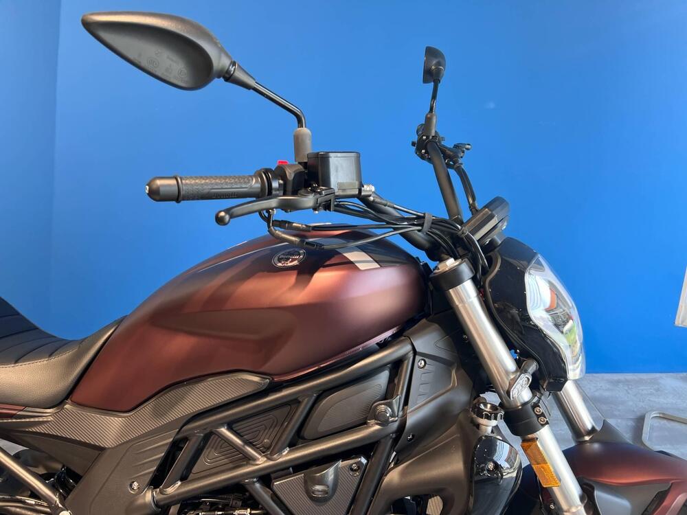 Benelli 502 C (2021 - 25) (2)