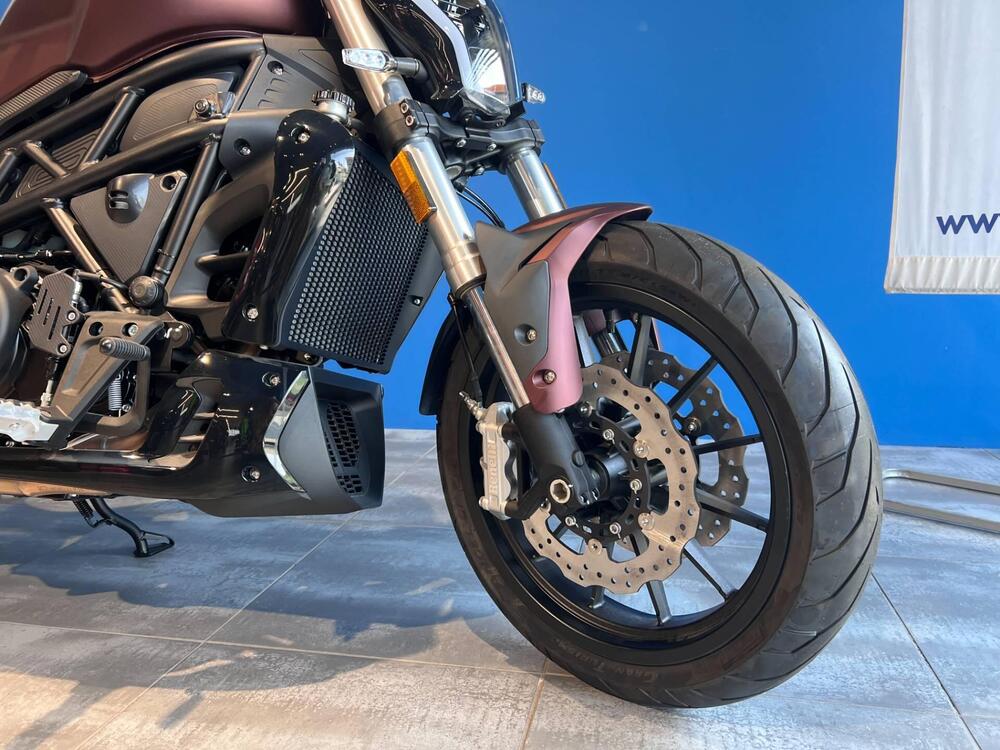 Benelli 502 C (2021 - 25) (6)