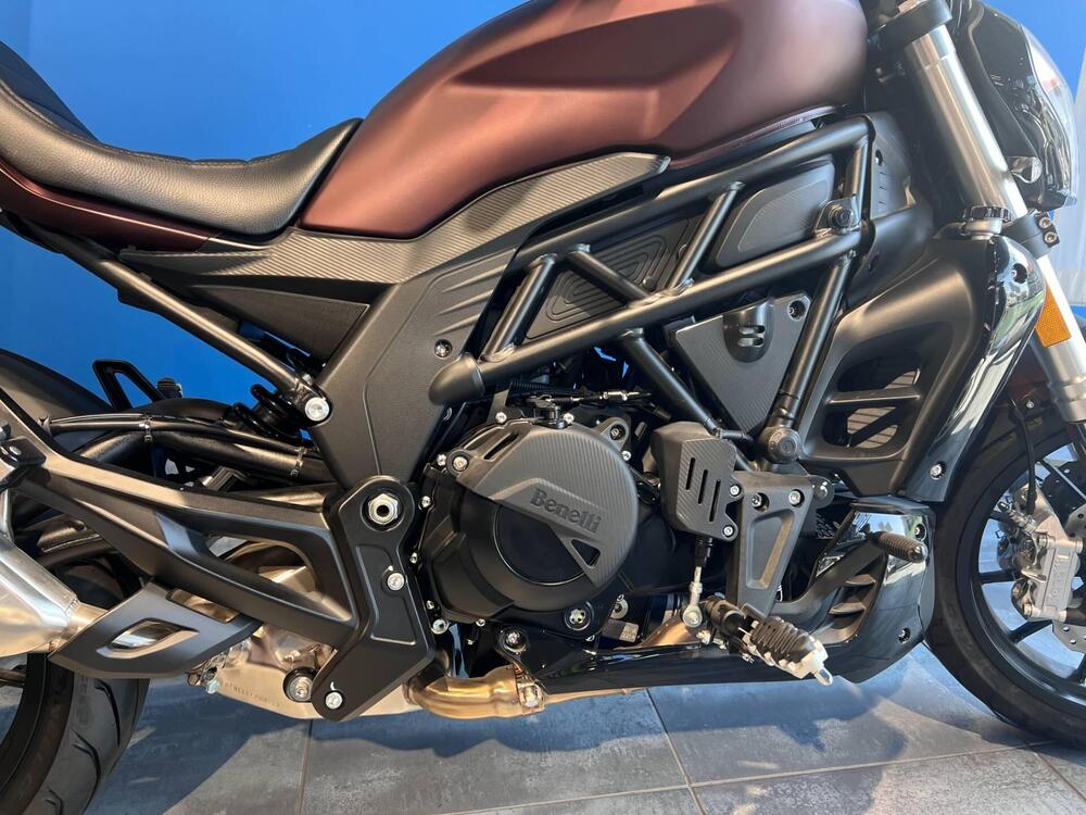 Benelli 502 C (2021 - 25) (7)