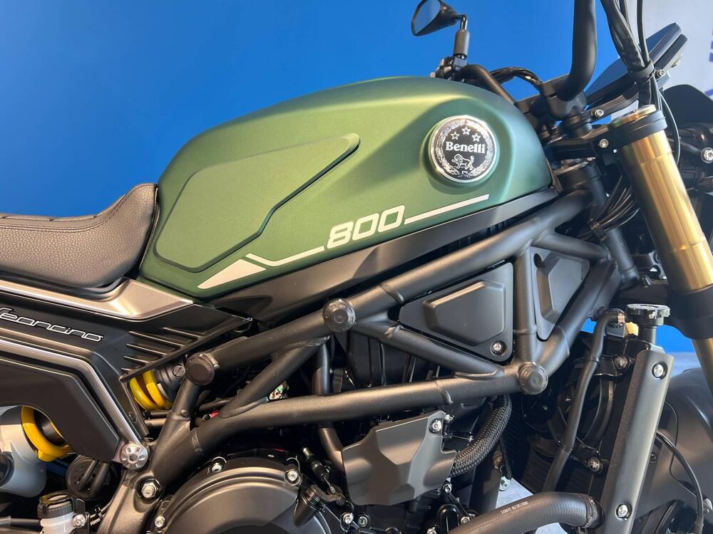 Benelli Leoncino 800 (2022 - 25) (3)