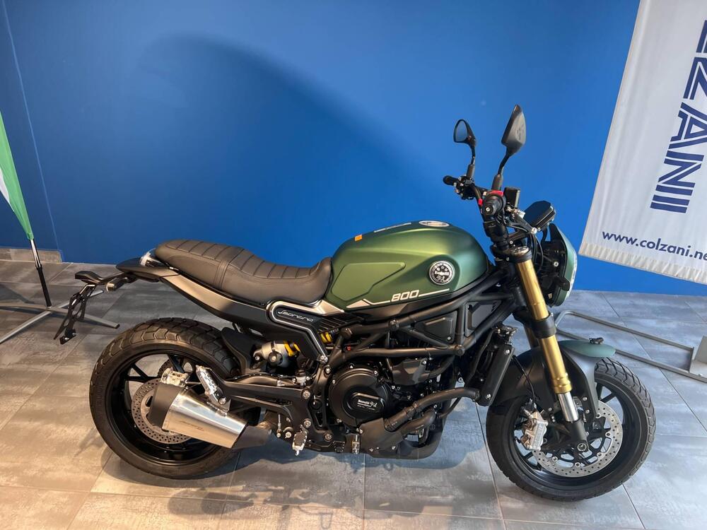 Benelli Leoncino 800 (2022 - 25) (2)