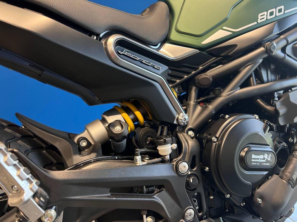 Benelli Leoncino 800 (2022 - 25) (7)