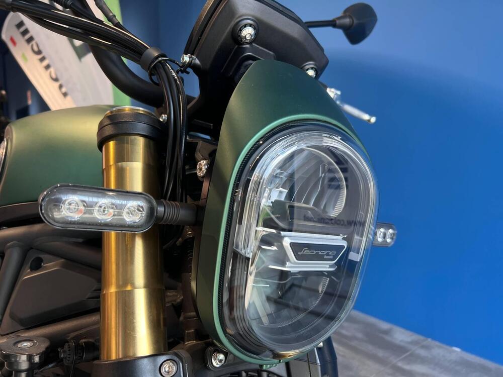 Benelli Leoncino 800 (2022 - 25) (5)