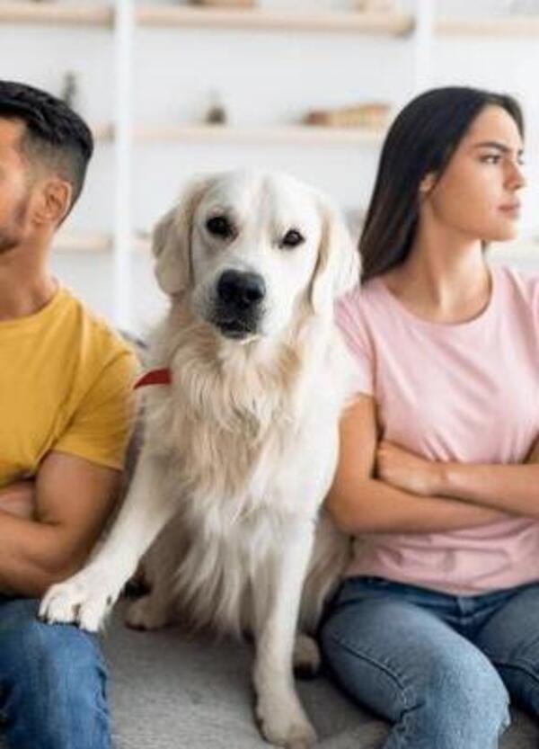 Metteresti fine alla relazione se al tuo cane o gatto non piacesse il partner? Per oltre la met&agrave; degli italiani s&igrave;. Ecco cinque motivi per i quali non &egrave; una follia&hellip; 