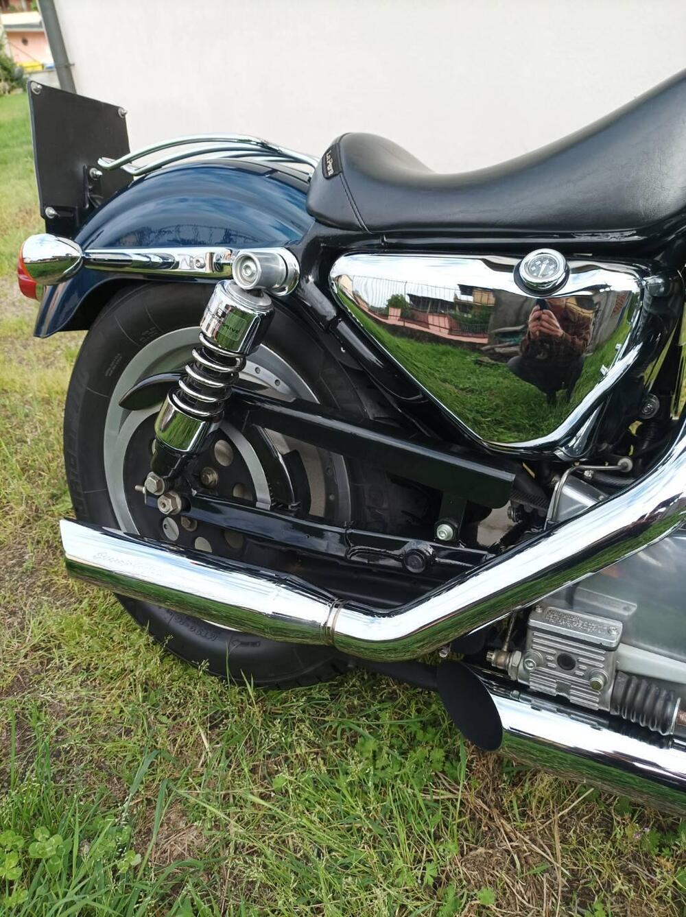 Harley-Davidson 883 Standard (2001 - 05) - XL 883 (10)