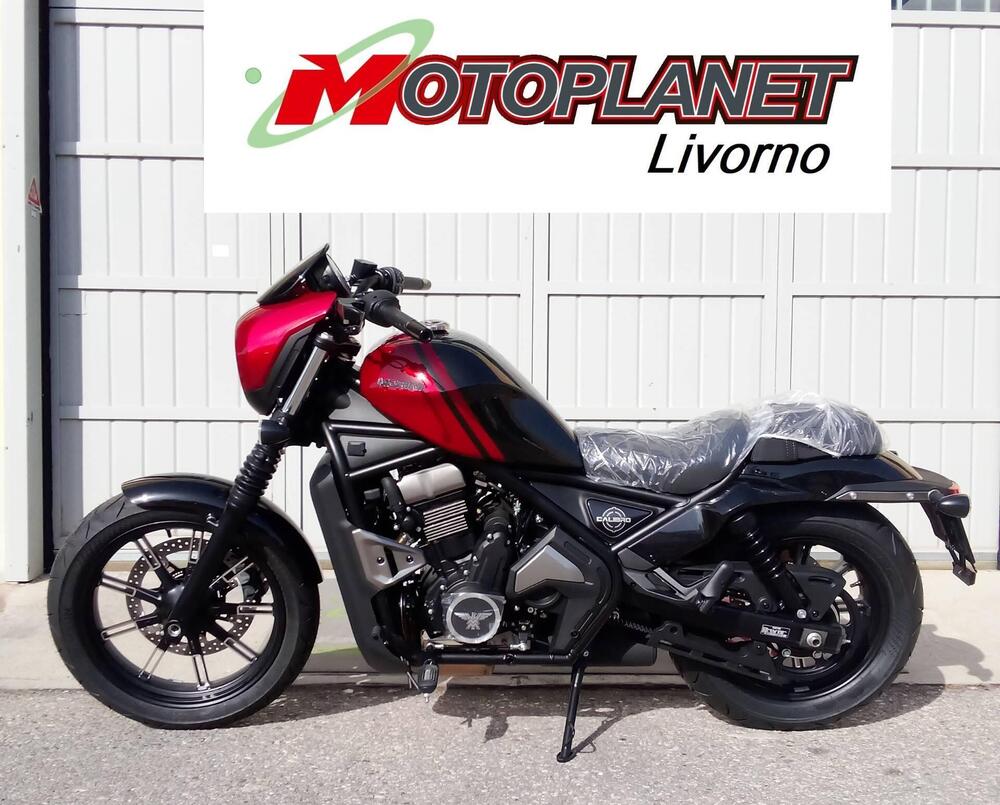 Moto Morini Calibro Custom (2024 - 25) (4)