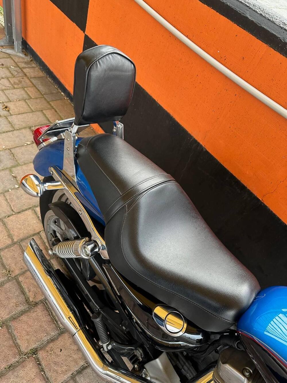 Harley-Davidson 883 Custom (2001 - 05) - XL 53C (7)