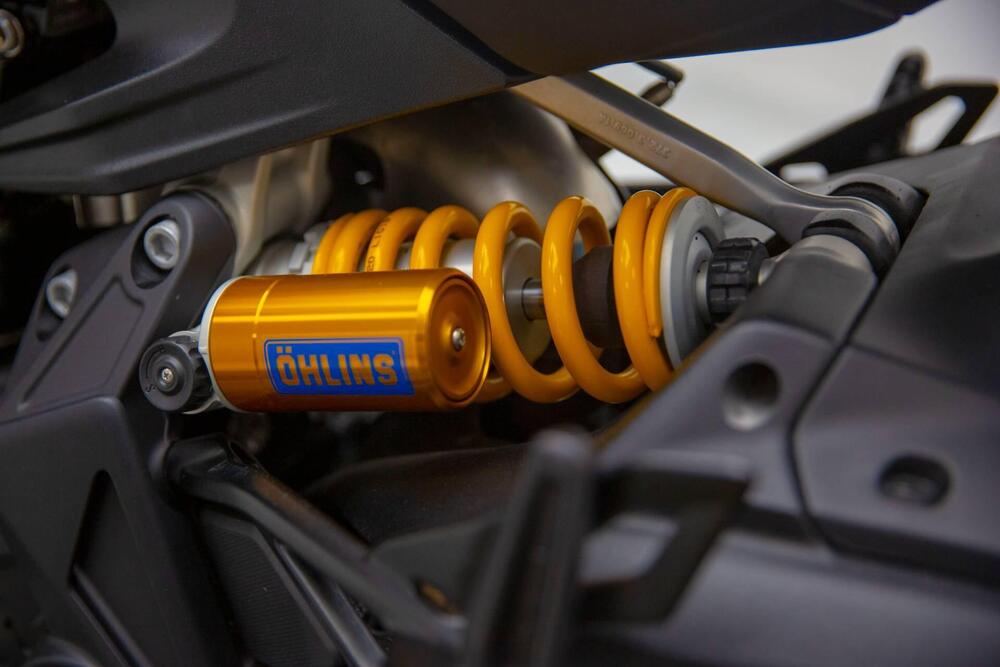 Ducati Diavel 1260 S (2019 - 20) (14)