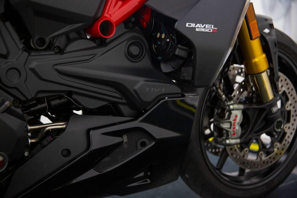 Ducati Diavel 1260 S (2019 - 20) (15)