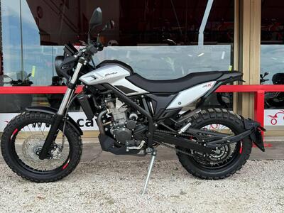 Betamotor Alp X (2024 - 25) nuova