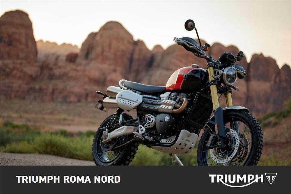 Triumph Scrambler 1200 XE (2024 - 25) (5)