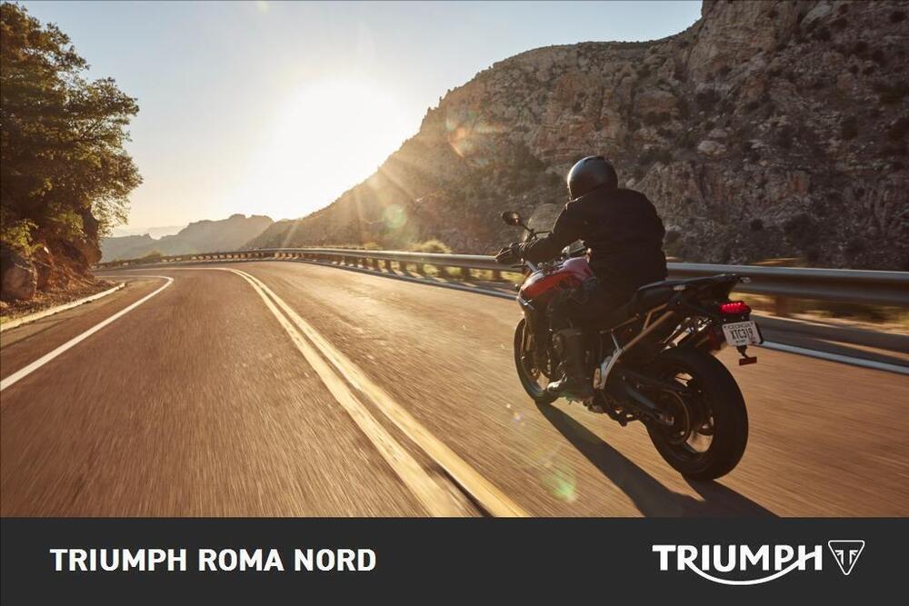 Triumph Tiger 900 GT (2024 - 26) (5)