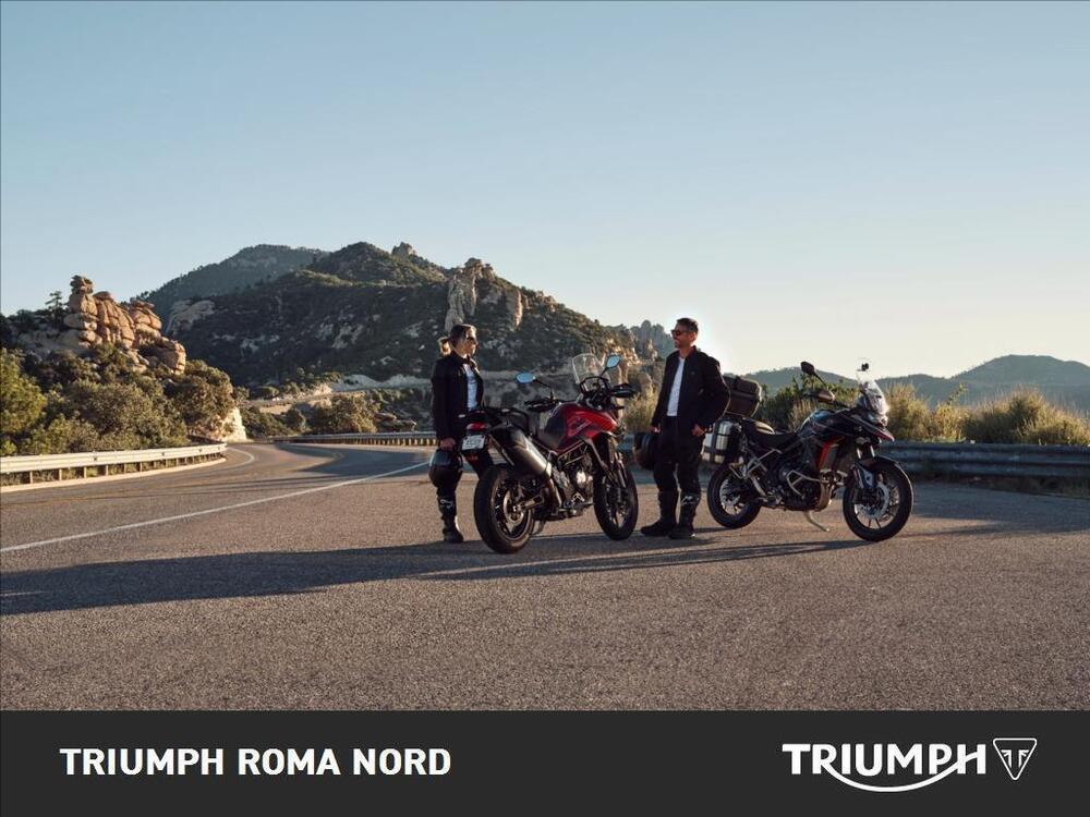 Triumph Tiger 900 GT (2024 - 26) (4)