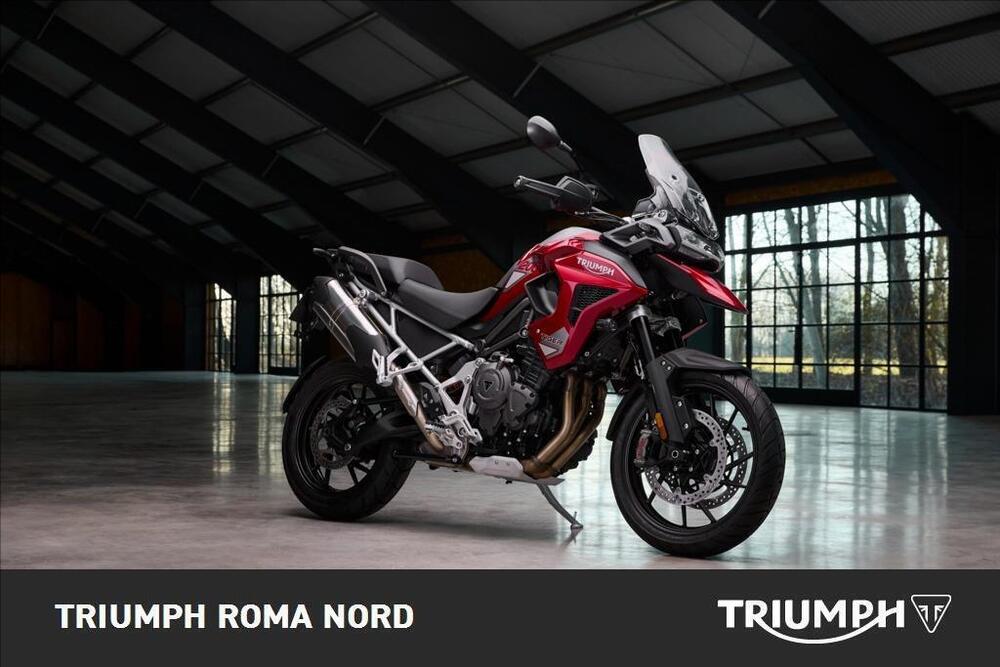 Triumph Tiger 1200 GT Pro (2024 - 25) (4)