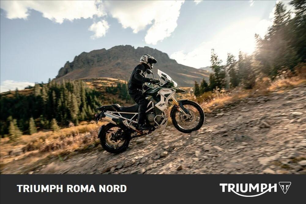Triumph Tiger 1200 Rally Pro (2024 - 25) (4)