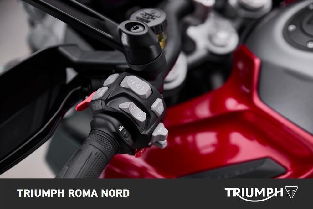 Triumph Tiger 1200 GT Explorer (2024 - 25) (3)